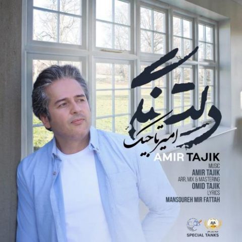 دانلود آهنگ جدید امیر تاجیک با عنوان دلتنگی